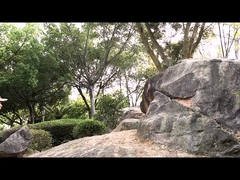 Παπούτσια Τακτικής Ασφάλειας