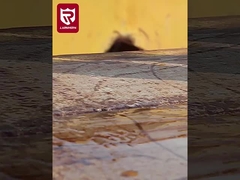 Μπότες ασφαλείας